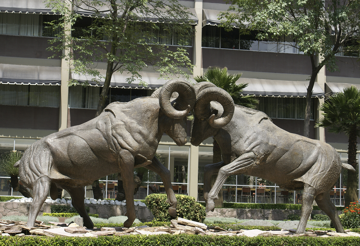 Encuentro de Borregos, 1989.