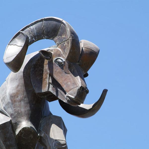 Borrego Cósmico, 1998.