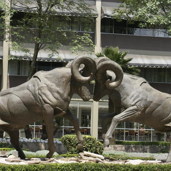 Encuentro de Borregos, 1989.